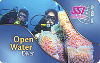 OPEN WATER DIVER