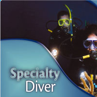 SPECIALTY DIVER 